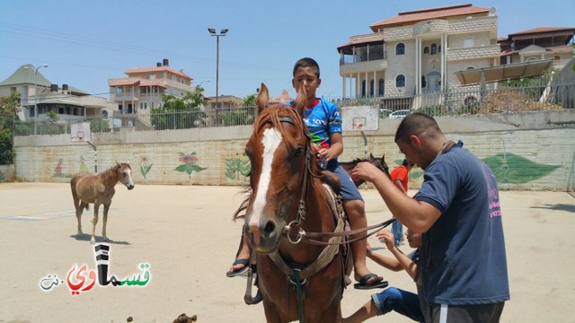 كفرقاسم - فيديو  : تعليم هواية ركوب الخيل في مدرسة جنة ابن رشد في اليوم الرابع لصيف الصادقة 